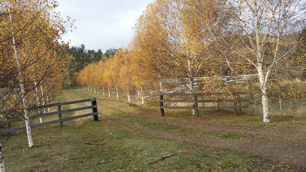 Scout Hall National Park Eksteriør bilde